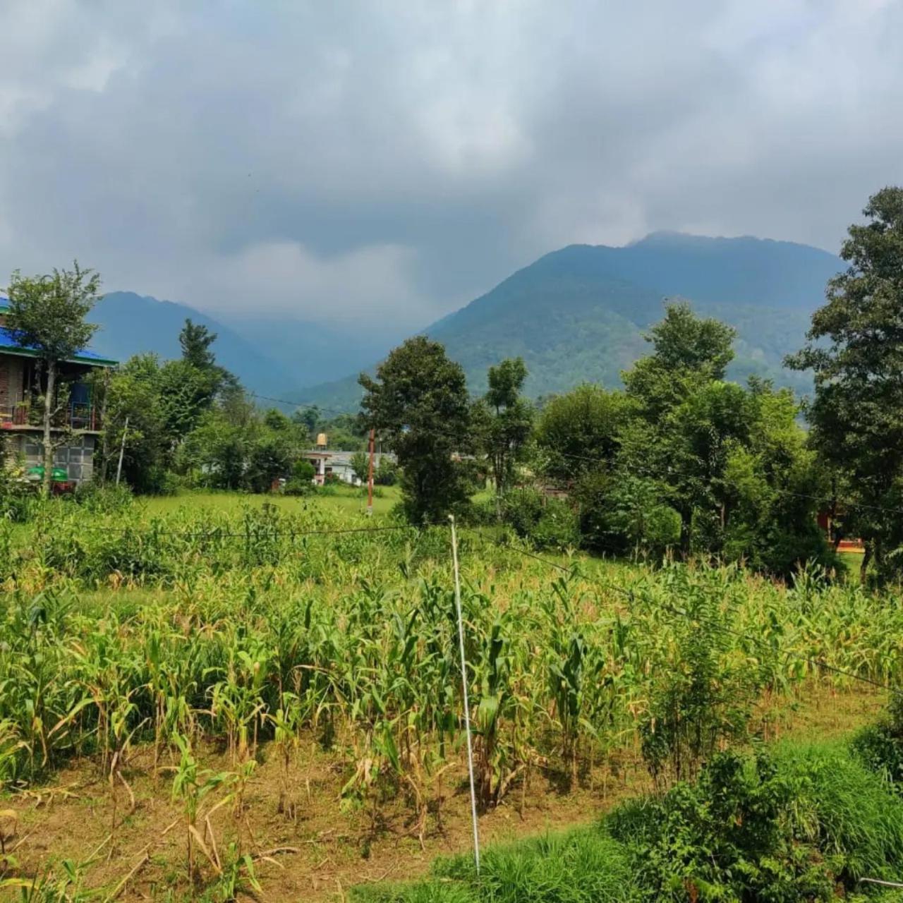 Aditya Homestay Bir-Billing Surrounded By Mountains Exterior photo