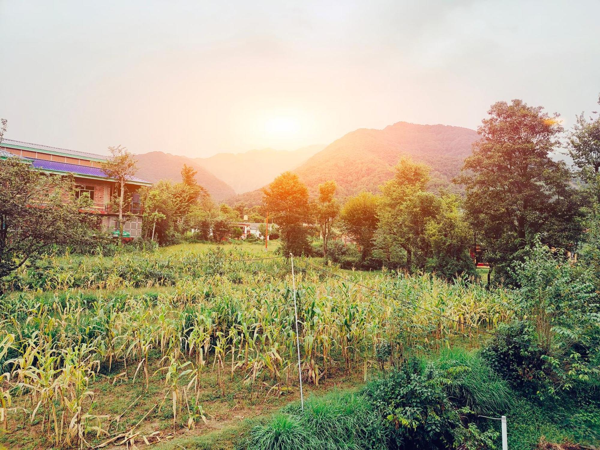Aditya Homestay Bir-Billing Surrounded By Mountains Exterior photo